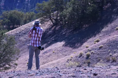 DSC_2229 (Large).JPG